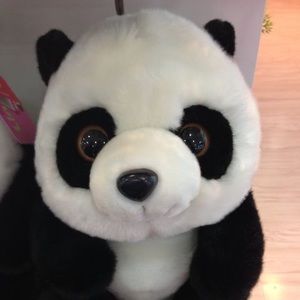 Meet your Posher, Wendy